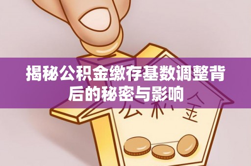 平塘揭秘公积金缴存基数调整背后的秘密与影响