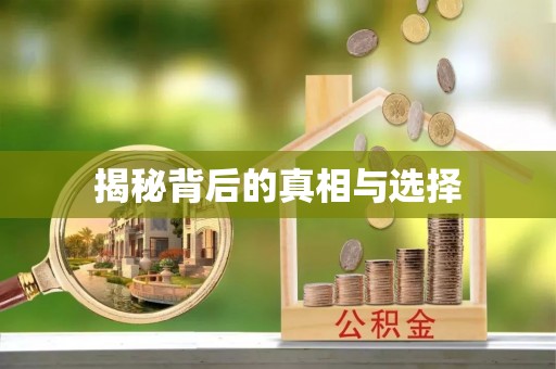平塘揭秘背后的真相与选择