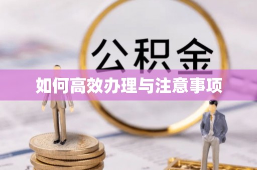 平塘如何高效办理与注意事项