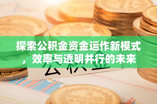 平塘探索公积金资金运作新模式，效率与透明并行的未来