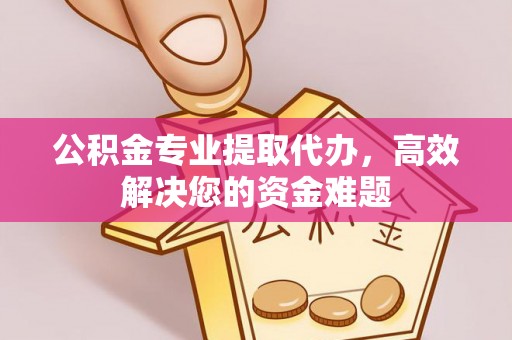 平塘公积金专业提取代办，高效解决您的资金难题