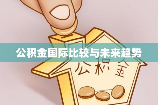 平塘公积金国际比较与未来趋势