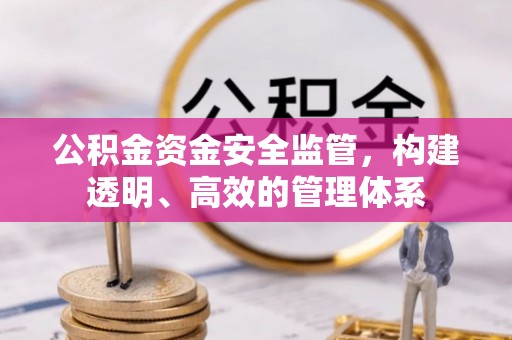 平塘公积金资金安全监管，构建透明、高效的管理体系