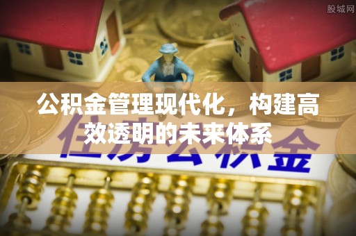 平塘公积金管理现代化，构建高效透明的未来体系