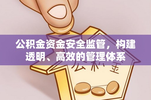 平塘公积金资金安全监管，构建透明、高效的管理体系
