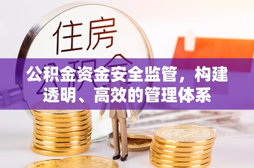 平塘公积金资金安全监管，构建透明、高效的管理体系