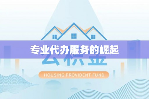 平塘专业代办服务的崛起