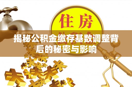 平塘揭秘公积金缴存基数调整背后的秘密与影响