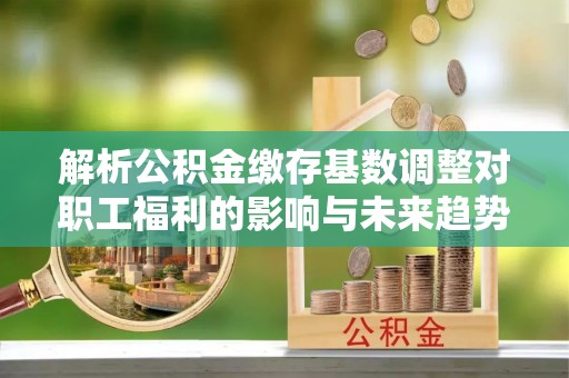 平塘解析公积金缴存基数调整对职工福利的影响与未来趋势