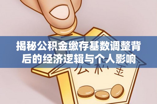 平塘揭秘公积金缴存基数调整背后的经济逻辑与个人影响