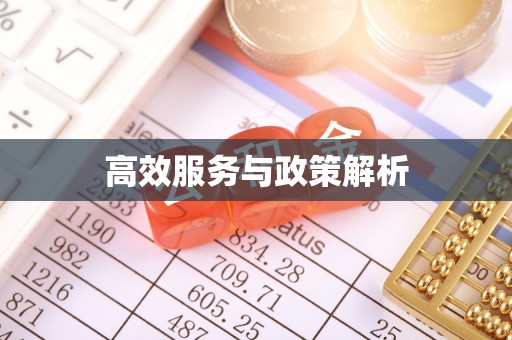平塘高效服务与政策解析