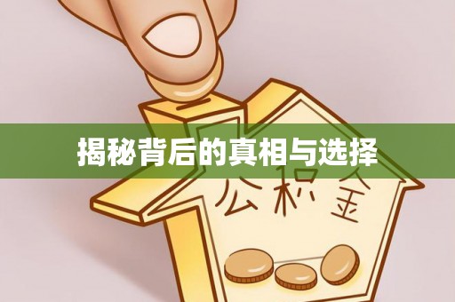 平塘揭秘背后的真相与选择