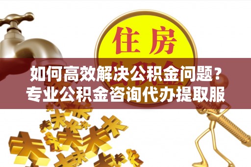 平塘如何高效解决公积金问题？专业公积金咨询代办提取服务来帮你