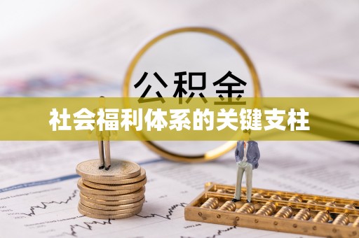 平塘社会福利体系的关键支柱