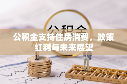 平塘公积金支持住房消费，政策红利与未来展望
