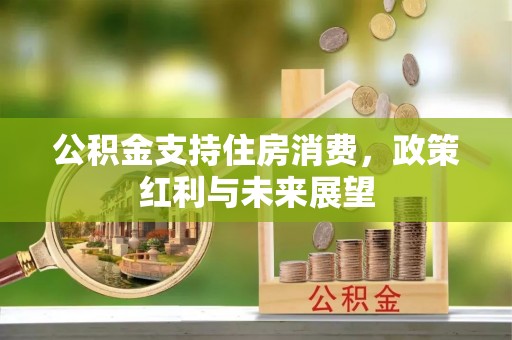平塘公积金支持住房消费，政策红利与未来展望