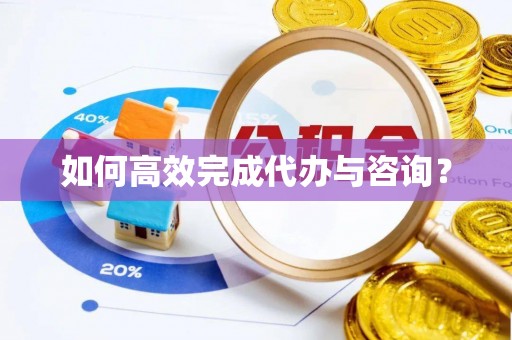 平塘如何高效完成代办与咨询？
