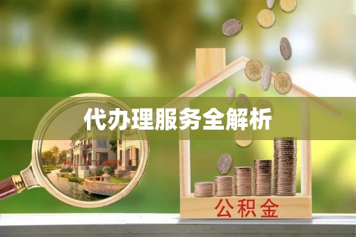 平塘代办理服务全解析