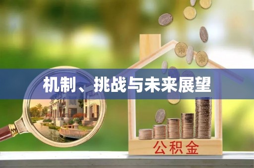平塘机制、挑战与未来展望